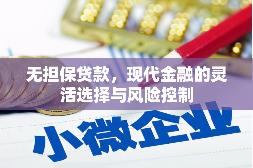 民勤无担保贷款，现代金融的灵活选择与风险控制