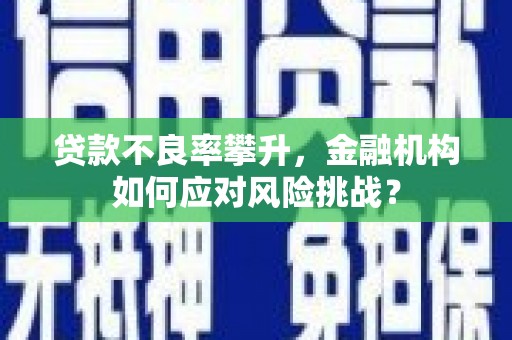 民勤贷款不良率攀升，金融机构如何应对风险挑战？