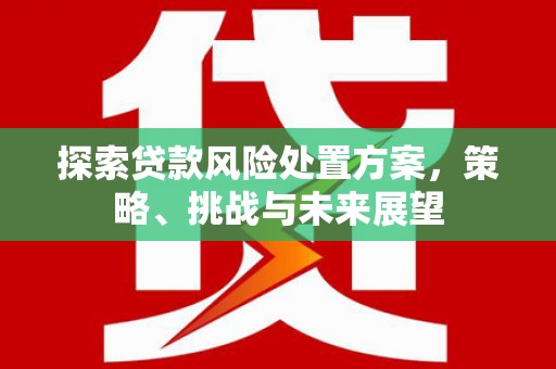 民勤探索贷款风险处置方案，策略、挑战与未来展望