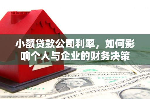 民勤小额贷款公司利率，如何影响个人与企业的财务决策