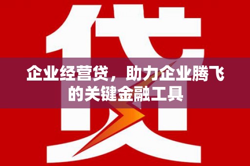 民勤企业经营贷，助力企业腾飞的关键金融工具