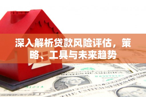民勤深入解析贷款风险评估，策略、工具与未来趋势