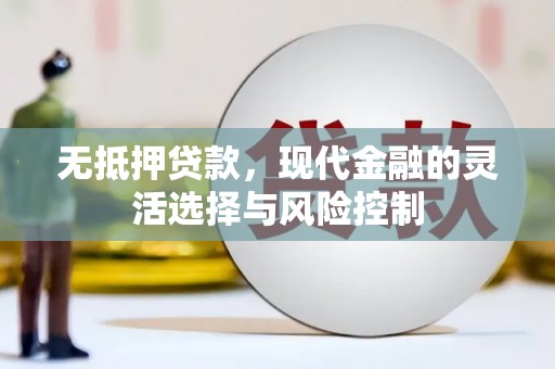 民勤无抵押贷款，现代金融的灵活选择与风险控制