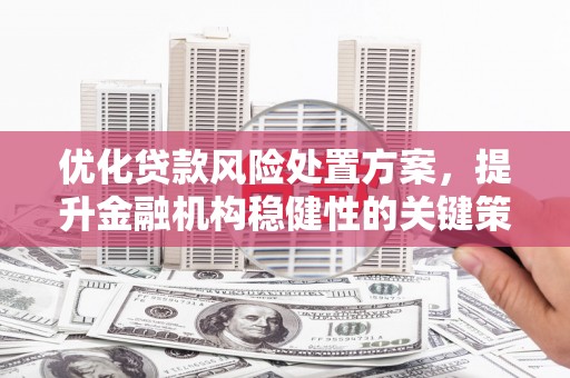 民勤优化贷款风险处置方案，提升金融机构稳健性的关键策略