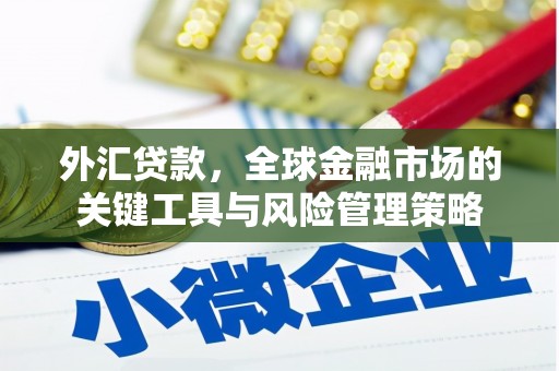 民勤外汇贷款，全球金融市场的关键工具与风险管理策略