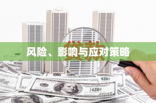 民勤风险、影响与应对策略