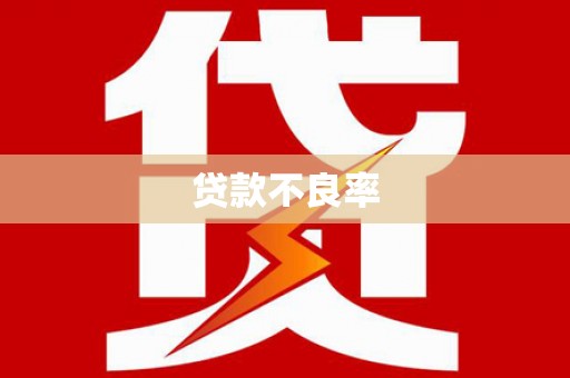 民勤贷款不良率