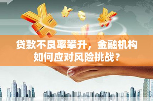 民勤贷款不良率攀升，金融机构如何应对风险挑战？