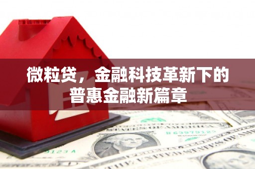 民勤微粒贷，金融科技革新下的普惠金融新篇章