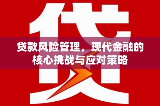 民勤贷款风险管理，现代金融的核心挑战与应对策略