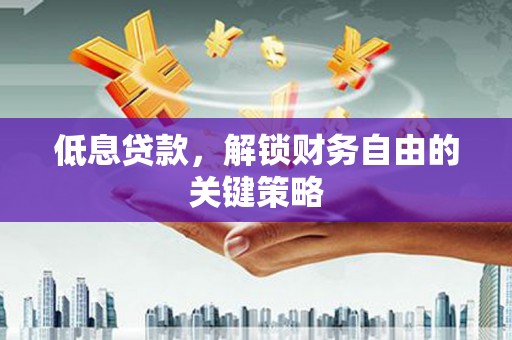 民勤低息贷款，解锁财务自由的关键策略