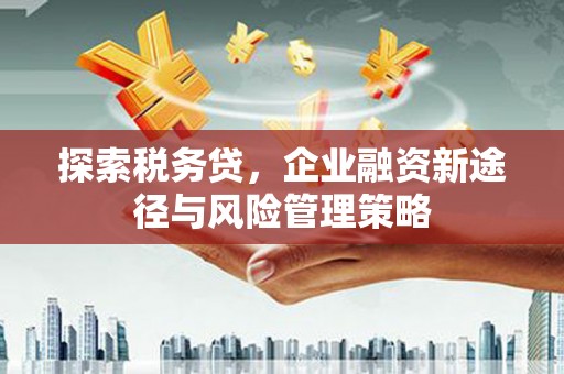 民勤探索税务贷，企业融资新途径与风险管理策略