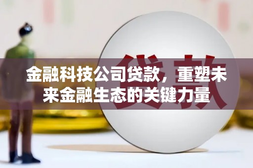 民勤金融科技公司贷款，重塑未来金融生态的关键力量