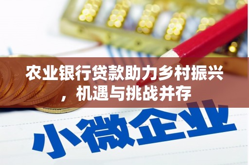 民勤农业银行贷款助力乡村振兴，机遇与挑战并存