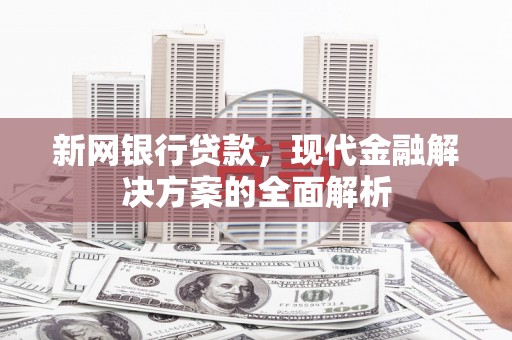 民勤新网银行贷款，现代金融解决方案的全面解析