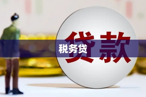 民勤税务贷
