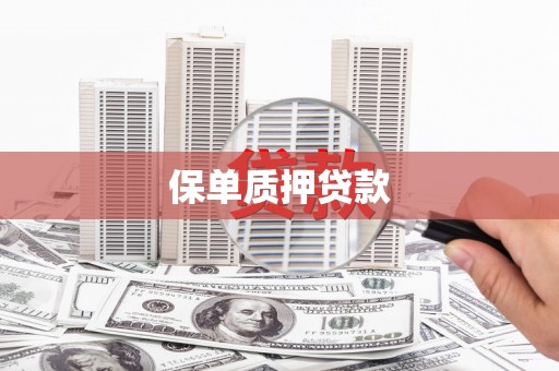 民勤保单质押贷款