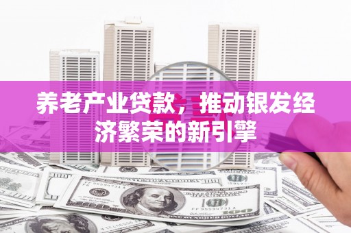 民勤养老产业贷款，推动银发经济繁荣的新引擎