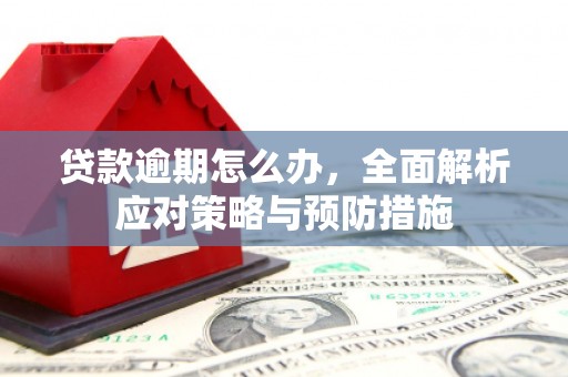 民勤贷款逾期怎么办，全面解析应对策略与预防措施