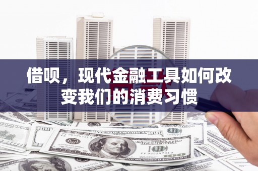 民勤借呗，现代金融工具如何改变我们的消费习惯