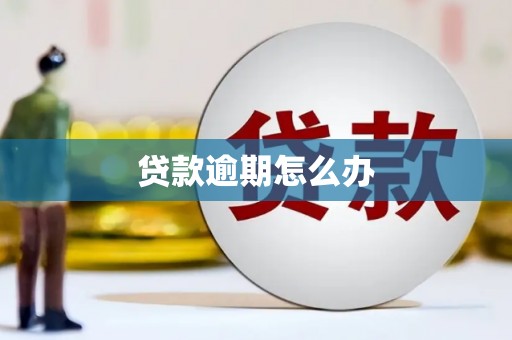 民勤贷款逾期怎么办