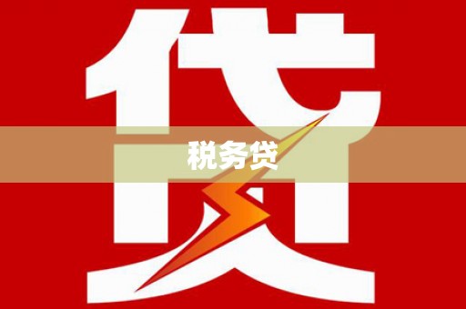 民勤税务贷