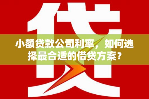 民勤小额贷款公司利率，如何选择最合适的借贷方案？