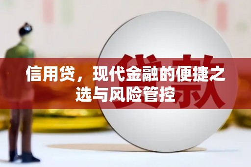民勤信用贷，现代金融的便捷之选与风险管控