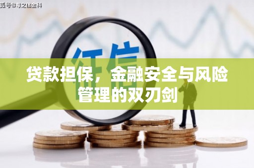 民勤贷款担保，金融安全与风险管理的双刃剑