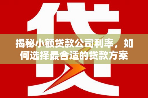 民勤揭秘小额贷款公司利率，如何选择最合适的贷款方案