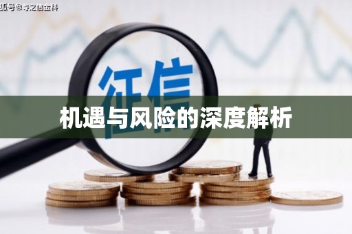民勤机遇与风险的深度解析