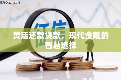 民勤灵活还款贷款，现代金融的智慧选择
