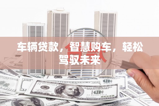 民勤车辆贷款，智慧购车，轻松驾驭未来