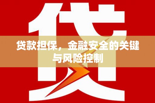 民勤贷款担保，金融安全的关键与风险控制