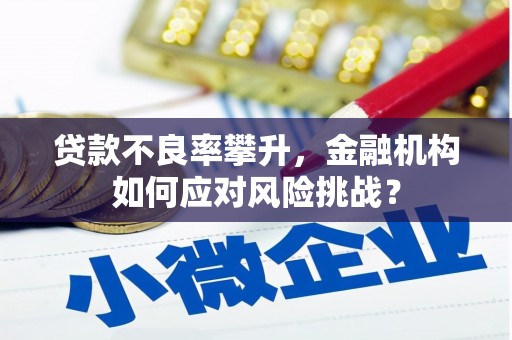 民勤贷款不良率攀升，金融机构如何应对风险挑战？