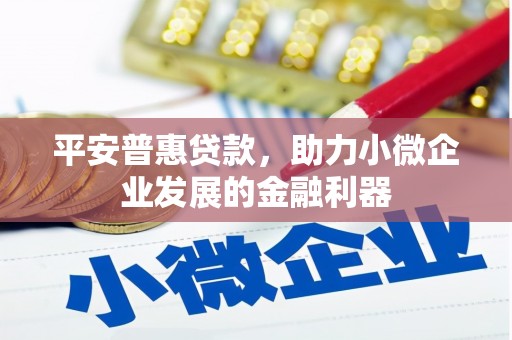 民勤平安普惠贷款，助力小微企业发展的金融利器