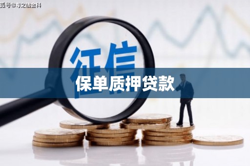 民勤保单质押贷款