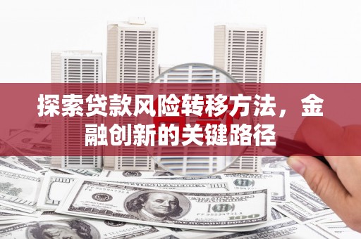 民勤探索贷款风险转移方法，金融创新的关键路径