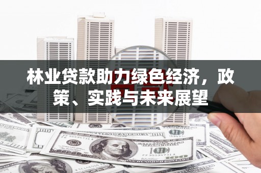 民勤林业贷款助力绿色经济，政策、实践与未来展望