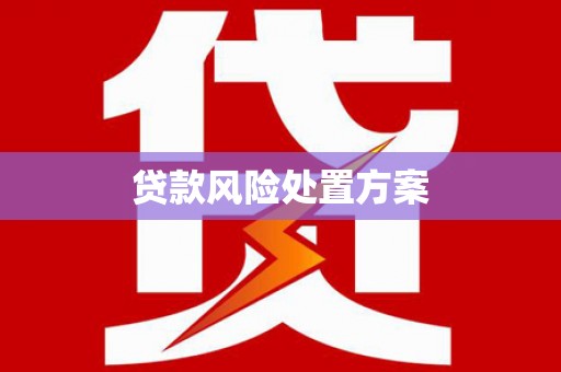 民勤贷款风险处置方案