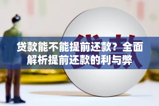 民勤贷款能不能提前还款？全面解析提前还款的利与弊