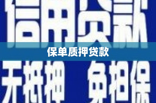 民勤保单质押贷款