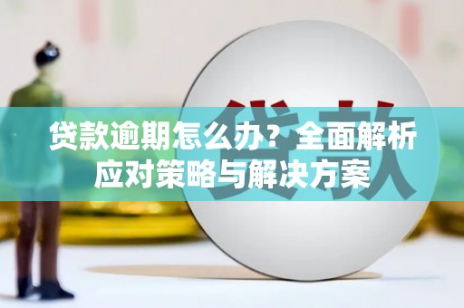 民勤贷款逾期怎么办？全面解析应对策略与解决方案