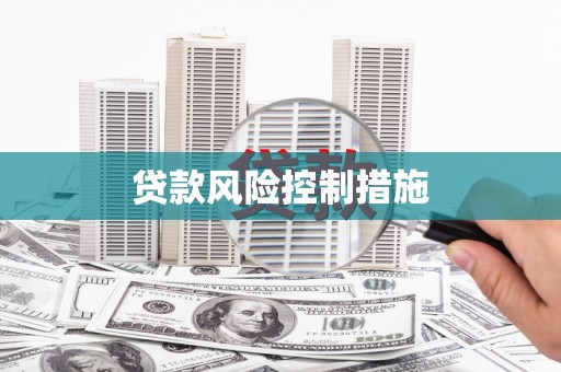 民勤贷款风险控制措施