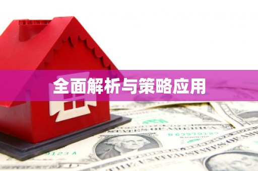 民勤全面解析与策略应用