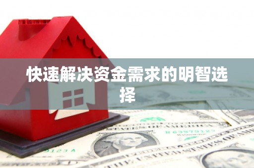 民勤快速解决资金需求的明智选择