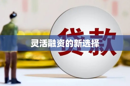 民勤灵活融资的新选择
