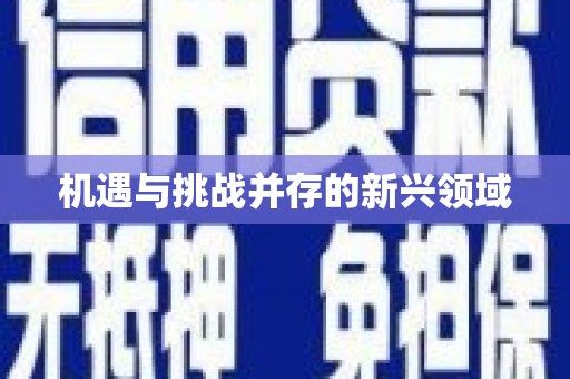 民勤机遇与挑战并存的新兴领域