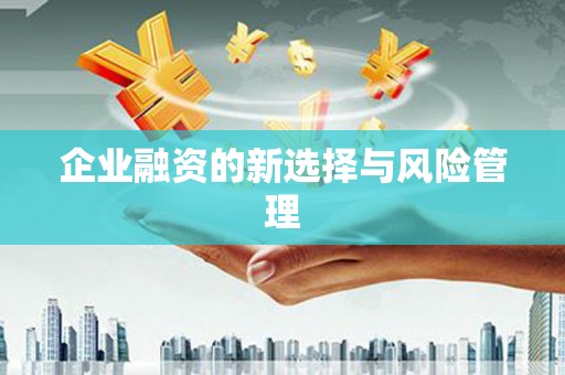 民勤企业融资的新选择与风险管理