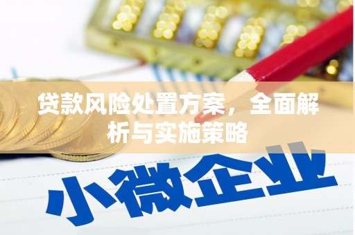 民勤贷款风险处置方案，全面解析与实施策略